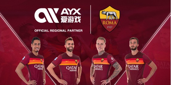 国内外粉丝